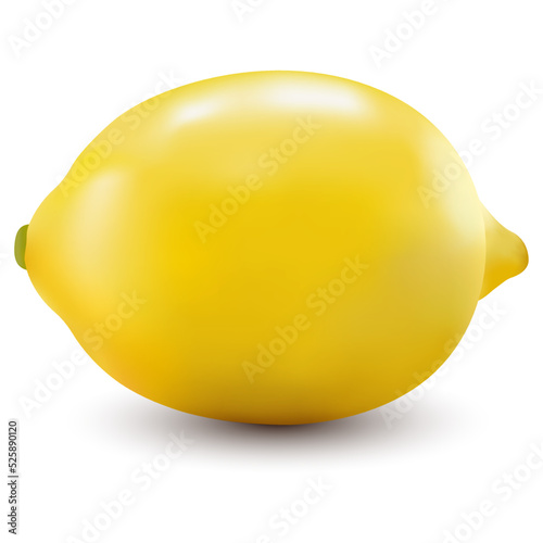 Yellow lemon in realism vector illustration