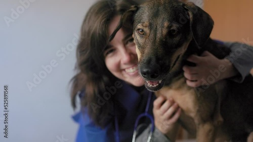 Vet female doctor and stray dog pet having fun inside veterinary private hospital