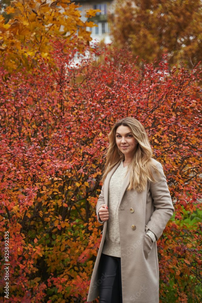 beautiful woman on a background of red-orange autumn trees. autumn portrait beautiful woman on a background of red-orange autumn trees. autumn portrait