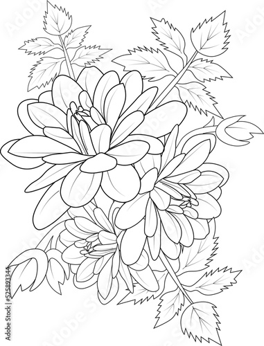 isolated , hand drawn vector illustration blossom dahlia flower botanical and branch vector illustration floral bud leaf collection, coloring page and book for adult.