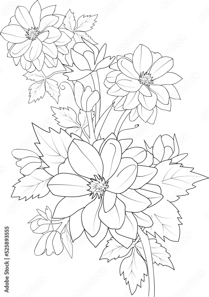 Obraz premium black and white flower dahlia isolated hand drawn illustration engraved ink art, coloring page for adult