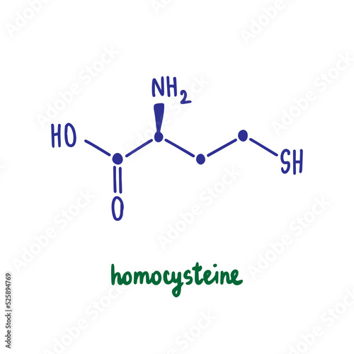 Homocysteine hand drawn vector formula chemical structure lettering blue green
