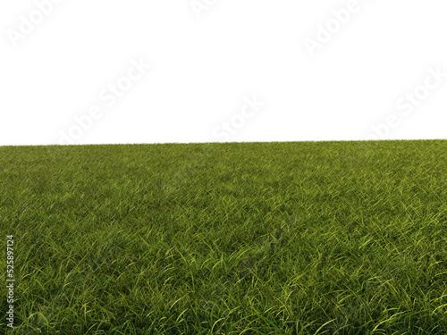 Grass Foreground Floor with Perspective, Transparent Background PNG

