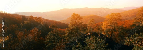 wonderful autumn sunrise image in mountains, autumn morning dawn, nature colorful background, Carpathians mountains, Ukraine, Europe 
