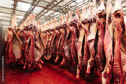 Beef half carcasses hanging on hooks in the slaughterhouse. Meat processing plant, cutting meat.