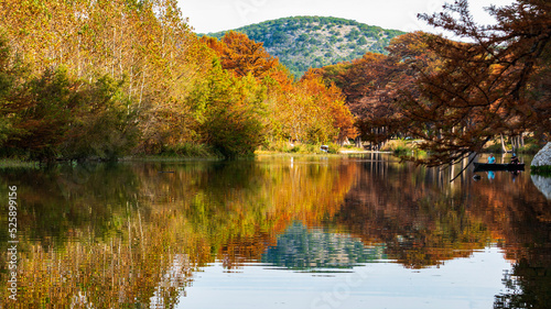 autumn in the park