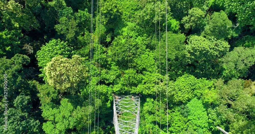 Tower of power lines in the forest. Ariel view electric tower line in ...