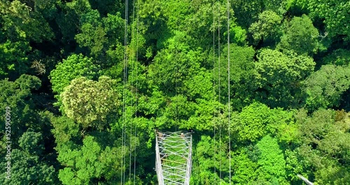 Tower of power lines in the forest. Ariel view electric tower line in Landscape view with Electricity. 4K