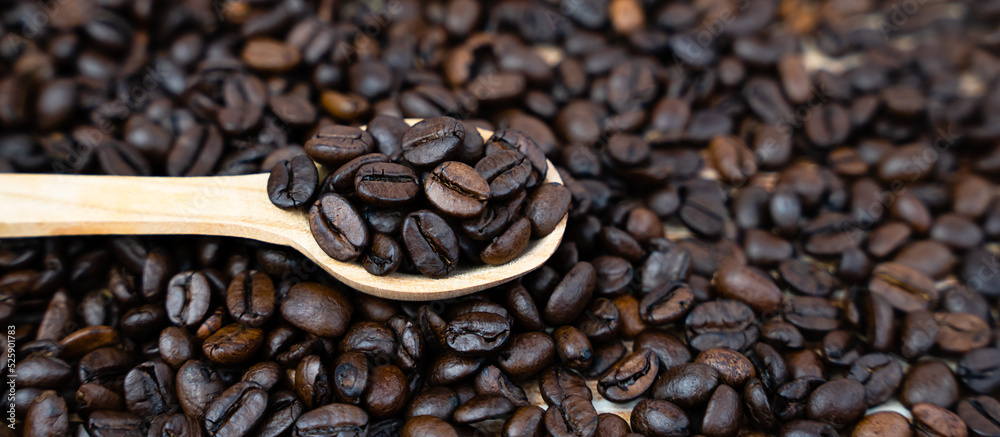 Fototapeta premium Coffee beans in a wooden spoon on a coffee background. Natural coffee. Banner. Close-up. Selective focus.