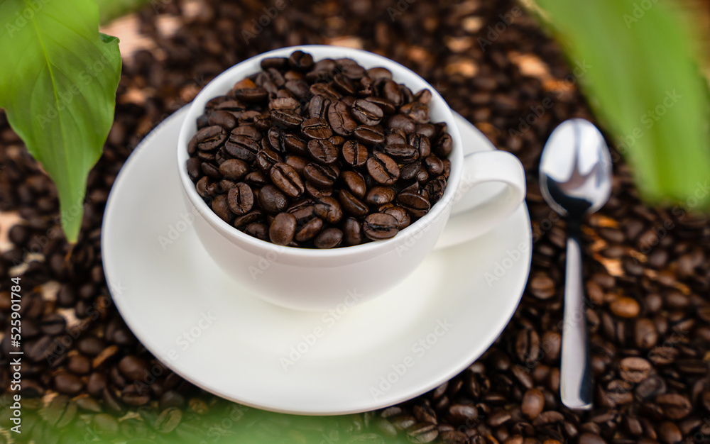 Fototapeta premium Natural coffee beans in a white cup and spoon on a coffee background. Coffee day. Close-up. Selective focus.