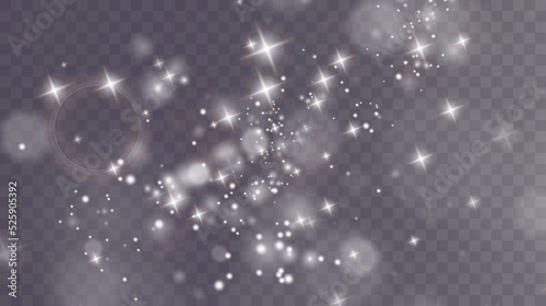 Christmas background. Powder PNG. Magic shining white dust. Fine, shiny dust particles fall off slightly. Fantastic shimmer effect.