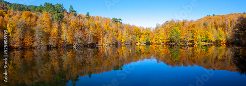 Yedigöller National Park also has a strong infrastructure for scientific studies and research. Containing a large number of plant species, the national park has mixed natural forests. photo