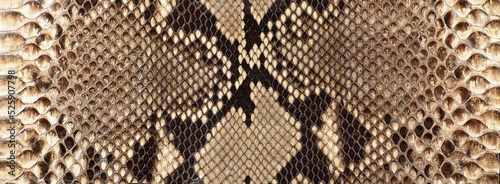Texture of brown snake skin. Leather surface with python skin texture.