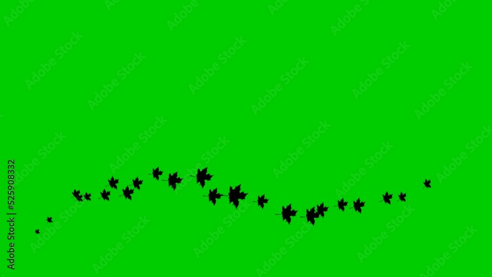 Animated autumn black leaves fly from left to right. Looped video. A wave of flying leaves on green background. Animated autumn black leaves fly from left to right. Looped video. A wave of flying leaves on green background.