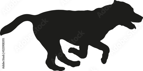 Black dog silhouette. Running and jumping labrador retriever puppy. Pet animals. Isolated on a white background.