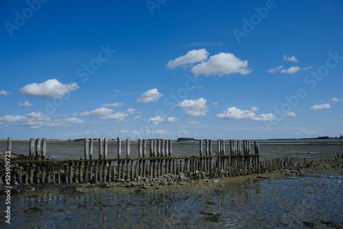 An abandoned harbor in Veerse meer in zeeland  the Netherlands