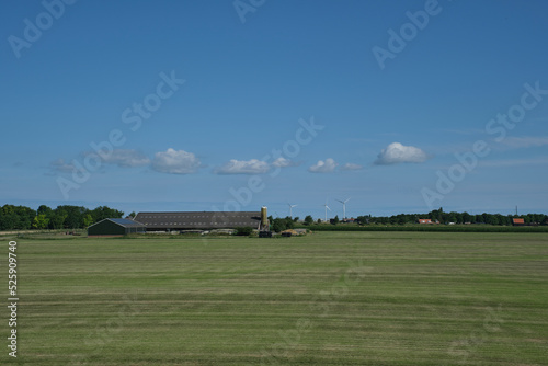 Dutch wide open rural landscape with farm. The Netherlands.