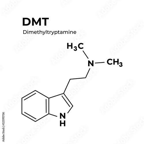 DMT dimethyltryptamine flat chemical formula isolated on white background. 
