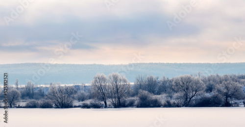 Frost covered trees near the river in the morning during sunrise