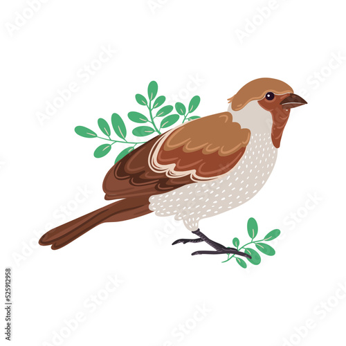 Elegant vector flat sparrow in green leaves isolated on white background. Element for design
