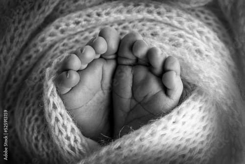 The tiny foot of a newborn. Soft feet of a newborn in a woolen blanket 