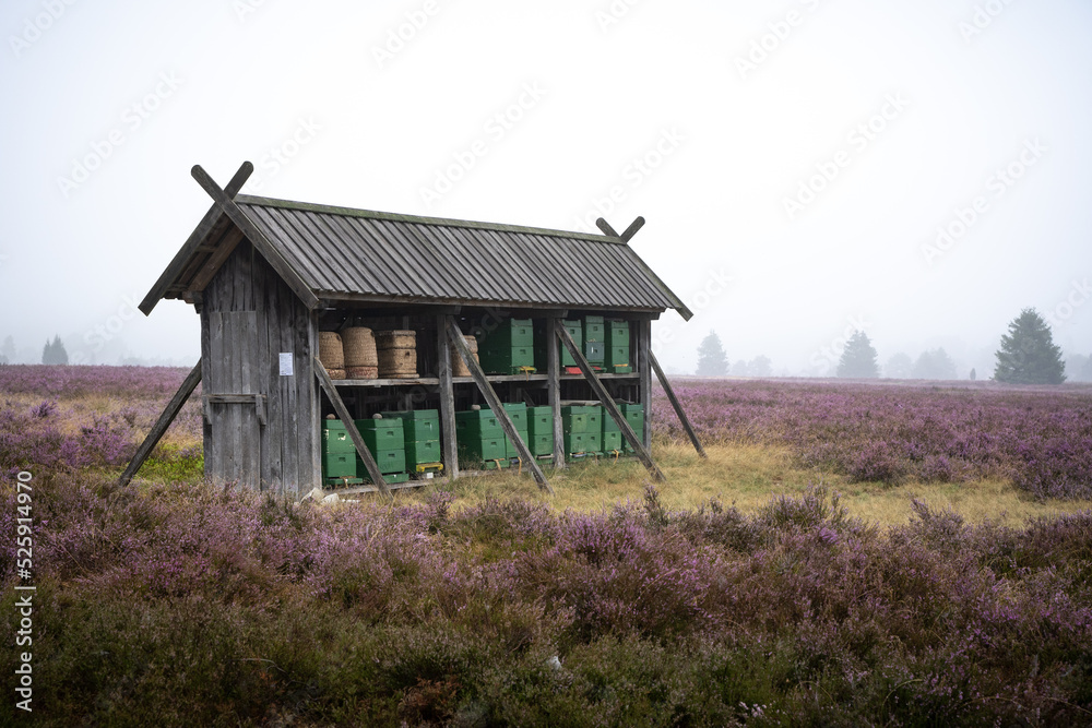 Unterstand für Bienenvölker in der Lüneburger Heide Unterstand für Bienenvölker in der Lüneburger Heide