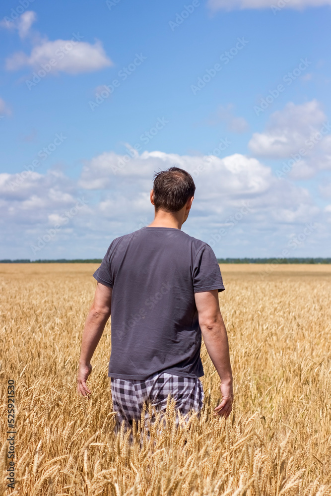 Back view of the man farmer walking through the golden wheat field at summer sunny day. Back view of the man farmer walking through the golden wheat field at summer sunny day.