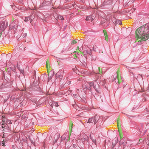 Pattern of pink lotus flowers.