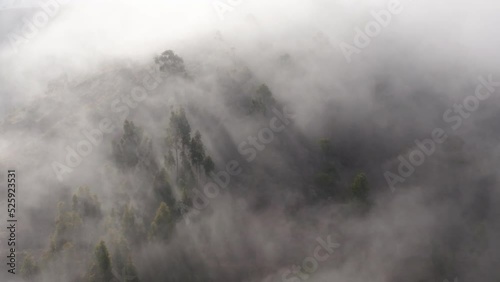 4k Aerial shot for amazon river and the rain forest in brazil rainforest.
shot on MAVIC 2 PRO hasselblad rendered prores 422HQ REC709
