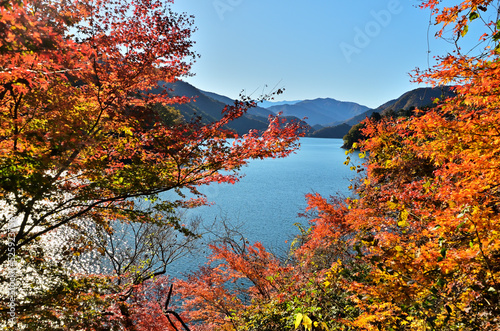 奥多摩湖の紅葉と秋の風景