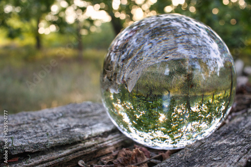 Lensball - Natur - Transparenz - Zerbrechlich - Ecology - Glass Sphere - Bioeconomy - High quality photo