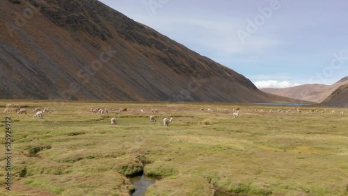 4k Aerial shot for amazon river and the rain forest in brazil rainforest.
shot on MAVIC 2 PRO hasselblad rendered prores 422HQ REC709
