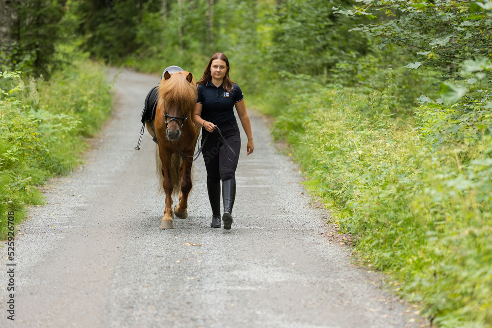 Icelandic horse with female rider. Horse and rrider walk side by side. Icelandic horse with female rider. Horse and rrider walk side by side.
