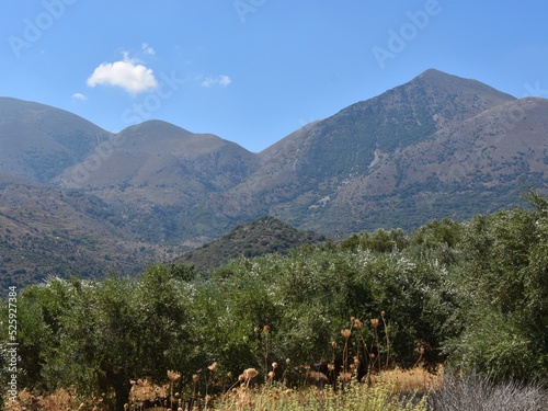 Crete landscape with trees and mountains