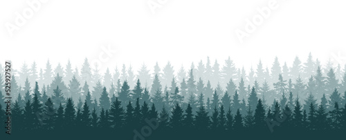 Forest background, beautiful landscape wallpaper. Silhouettes of fir trees. Vector illustration