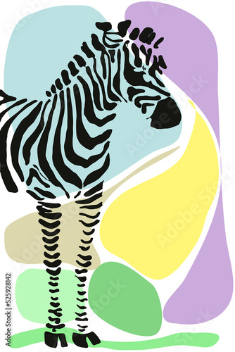 cartoon zebra 