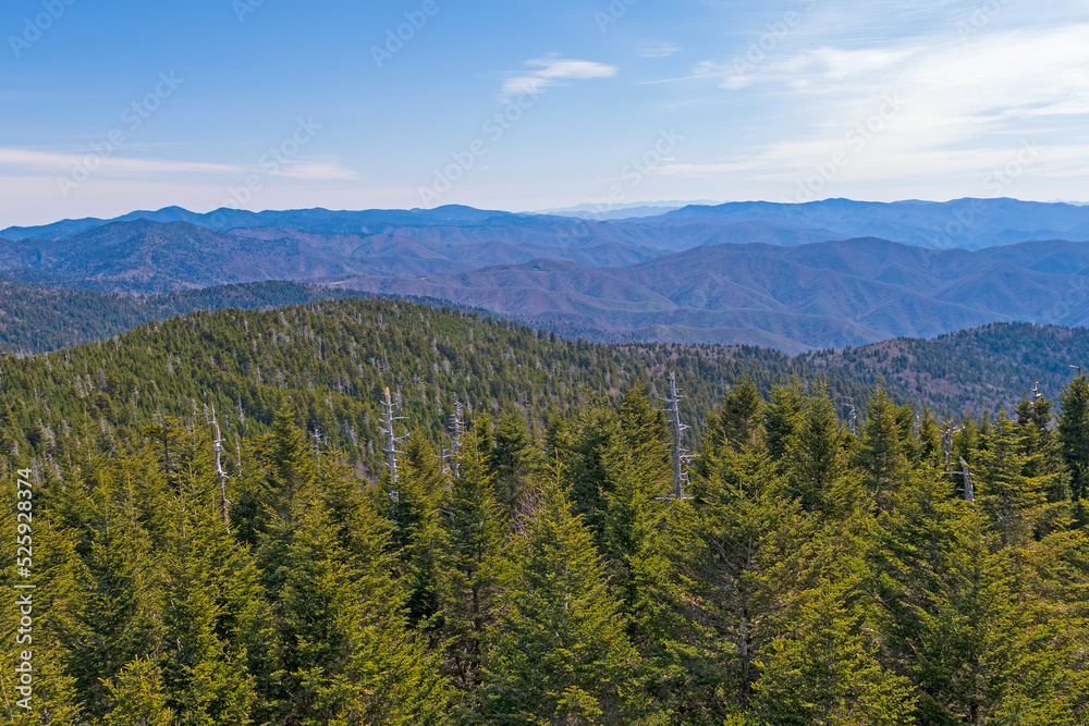 Smoky Mountains Panorama on a Sunny Day
