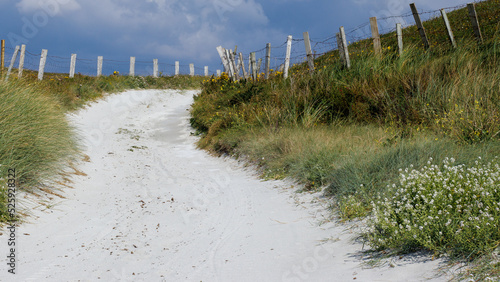 Obraz na płótnie sand dunes and grass w salonie