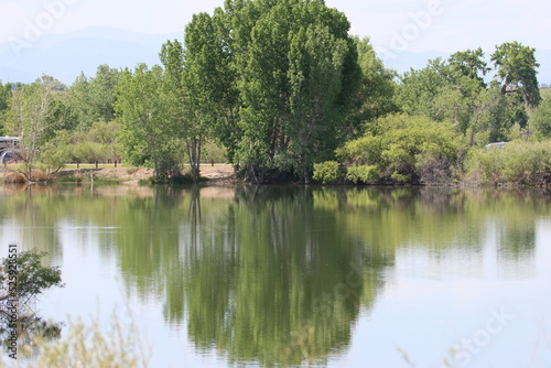 lake in the park