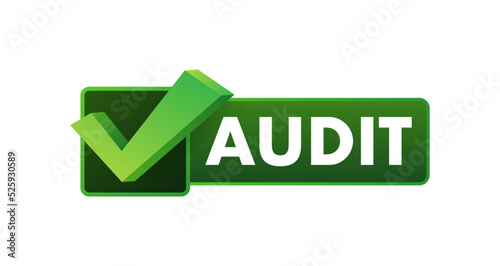 Auditing concepts. Tax process. Data analysis result. Vector stock illustration.