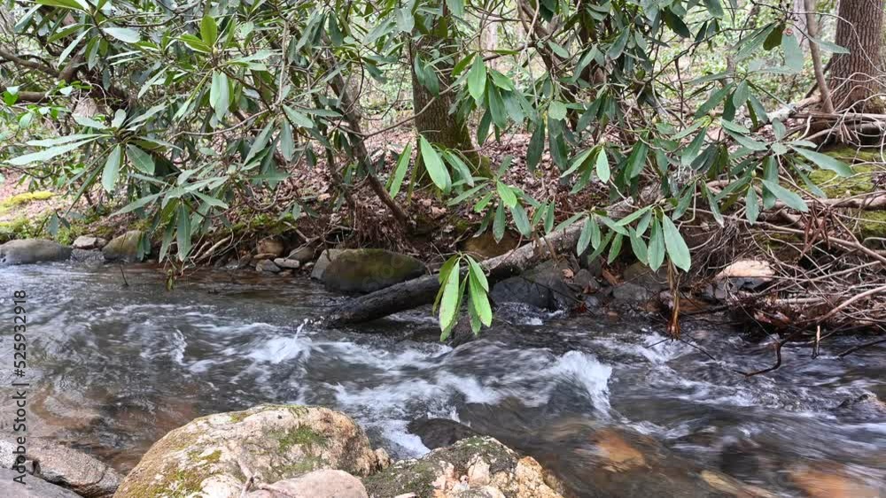 Video of flowing cascading water stream in the woods in southern Georgia Video of flowing cascading water stream in the woods in southern Georgia