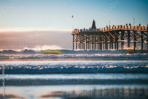 Holiday Christmas tree at the end of a pier with ocean waves crashing on a beach in the foreground and a bird flying in the sky