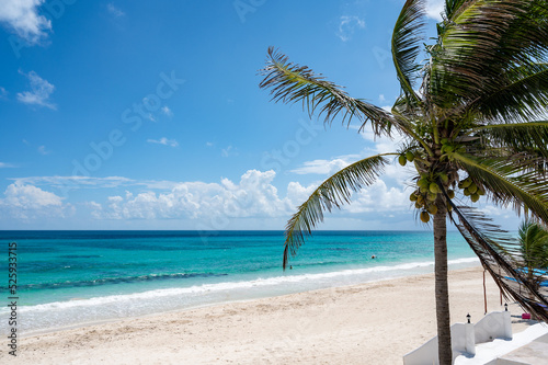 Tropical paradise resort with teal. turquoise, blue ocean, white sand beach, a palm tree with coconuts, and clouds in the sky
