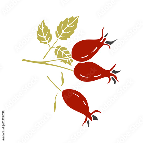 Hand drawn rose hip berries