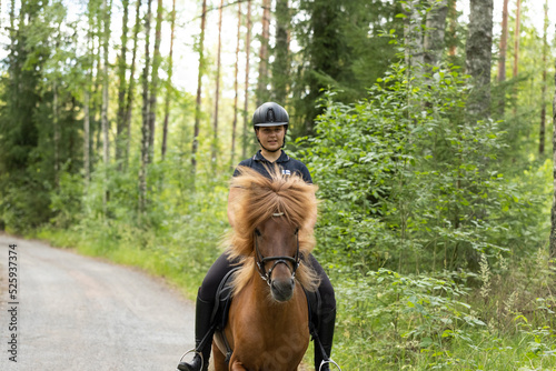 Icelandic horse with female rider on saddle. Rider wearing helmet.