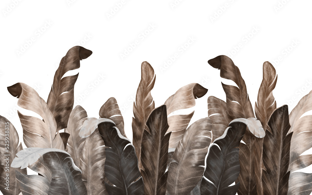Big leaf wallpaper design, banana leaf, white isolated background