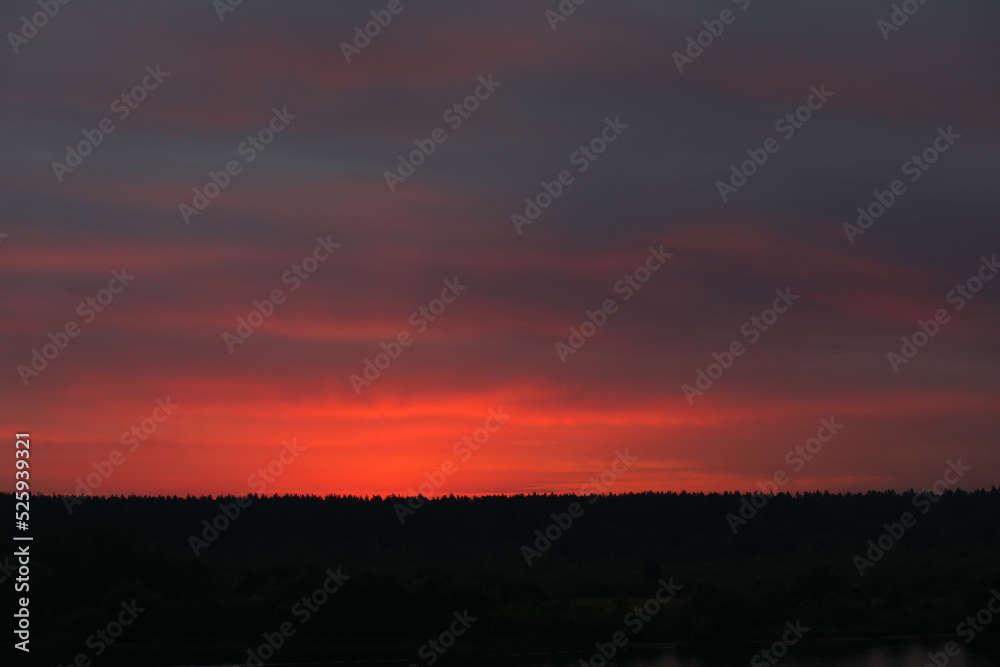Colorful landscape of the sunset red sky over the black silhouette of the forest