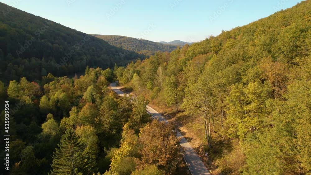AERIAL: Car driving along paved road leading through forest in early fall colors. Beautiful countryside road in the embrace of hilly forested landscape offering a picturesque drive in autumn season. AERIAL: Car driving along paved road leading through forest in early fall colors. Beautiful countryside road in the embrace of hilly forested landscape offering a picturesque drive in autumn season.