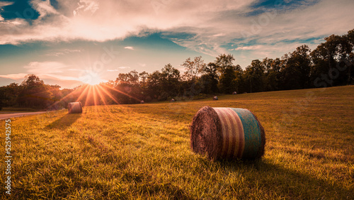 Hay bales in a field at sundown