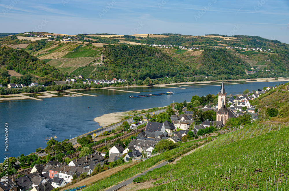 Rhein mit Niedrigwasser bei Lorch im Sommer 2022